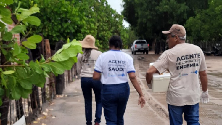 Saúde inicia campanha de vacinação contra raiva pela zona rural