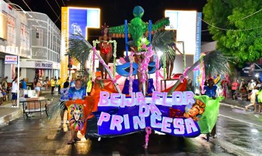 Desfile de escolas de samba e shows na beira-rio marcam o último dia do Carnaval de Floriano