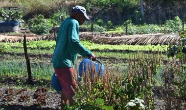 Floriano 127 anos: horticultores recebem kits de irrigação