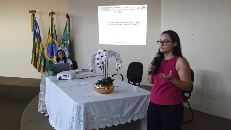 Profissionais da Saúde são capacitados para assistência às mulheres vítimas de violência