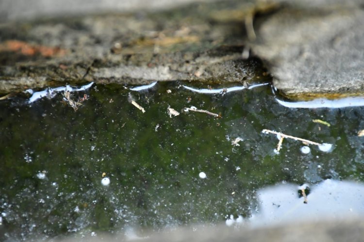 Prefeitura de Floriano alerta população sobre medidas de prevenção e controle da Dengue