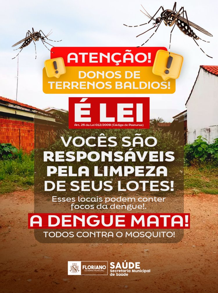 É lei! A limpeza de terrenos baldios é de responsabilidade dos proprietários