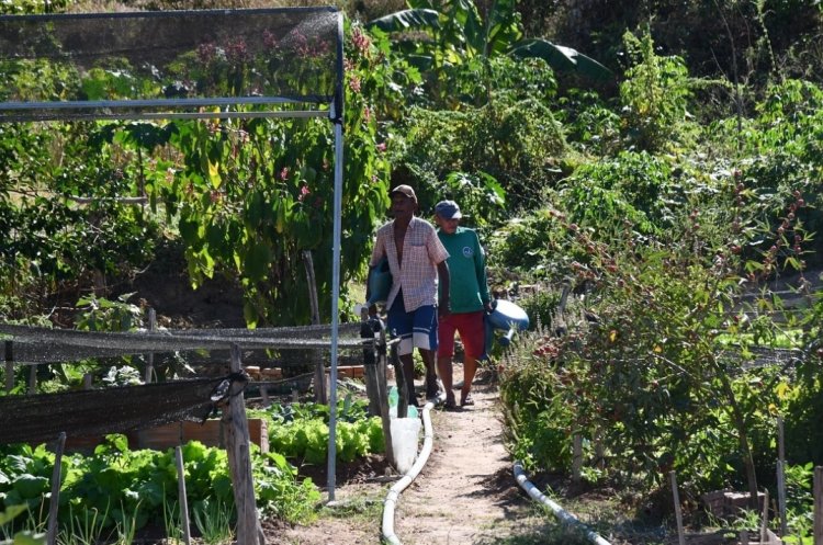 Floriano 127 anos: horticultores recebem kits de irrigação