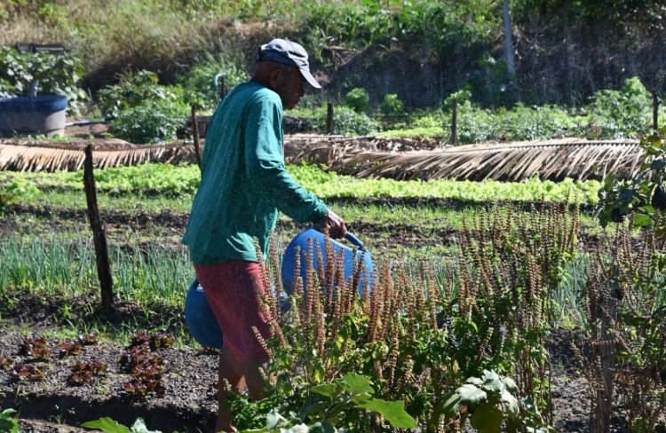 Floriano 127 anos: horticultores recebem kits de irrigação