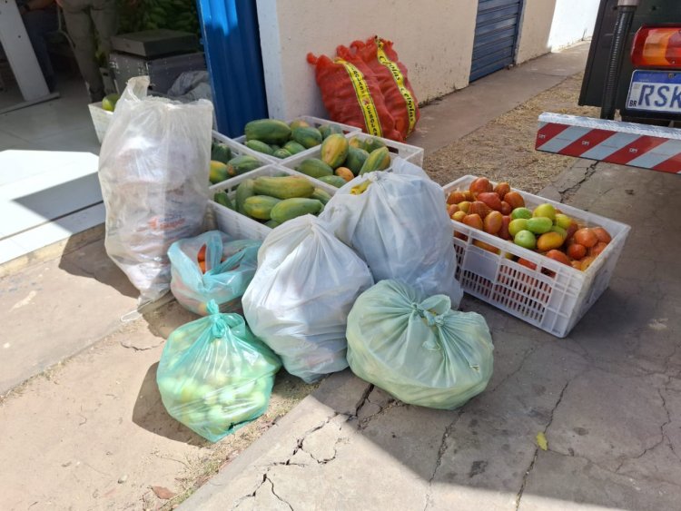 Escolas da Rede Municipal de Floriano são reabastecidas com produtos da alimentação escolar