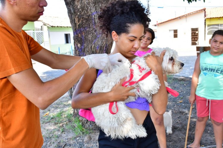 Saúde realiza com sucesso o Dia D de Vacinação Antirrábica com mais de 11 mil doses aplicadas