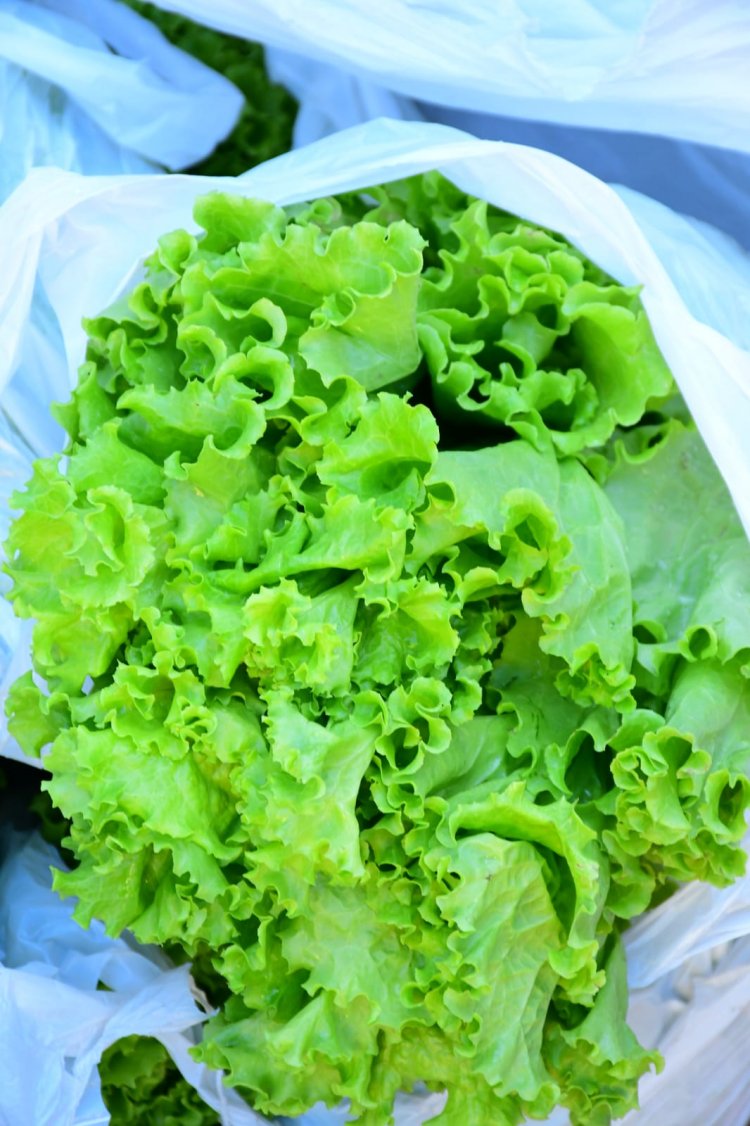 Prefeitura de Floriano inicia distribuição de produtos da alimentação escolar