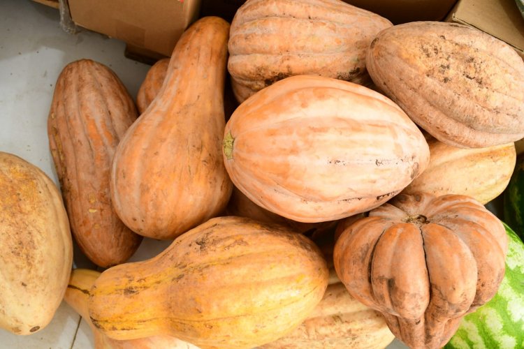 Prefeitura de Floriano inicia distribuição de produtos da alimentação escolar