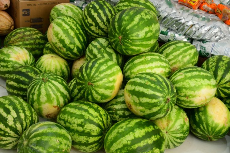 Prefeitura de Floriano inicia distribuição de produtos da alimentação escolar