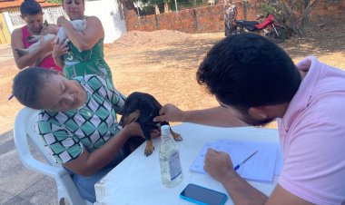 Programa Meu Amigo Pet leva cuidados aos animais e incentiva sustentabilidade no Cajueiro II