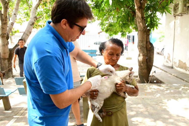 Prefeitura de Floriano mobiliza população no dia D de Vacinação Antirrábica 2025