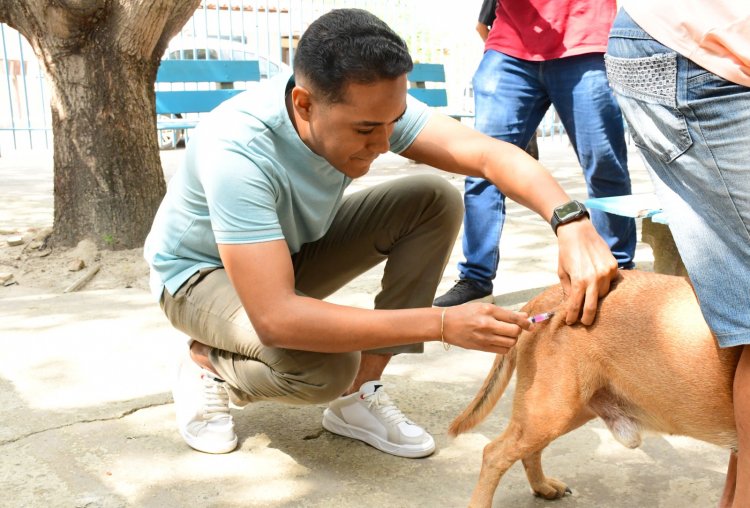 Prefeitura de Floriano mobiliza população no dia D de Vacinação Antirrábica 2025