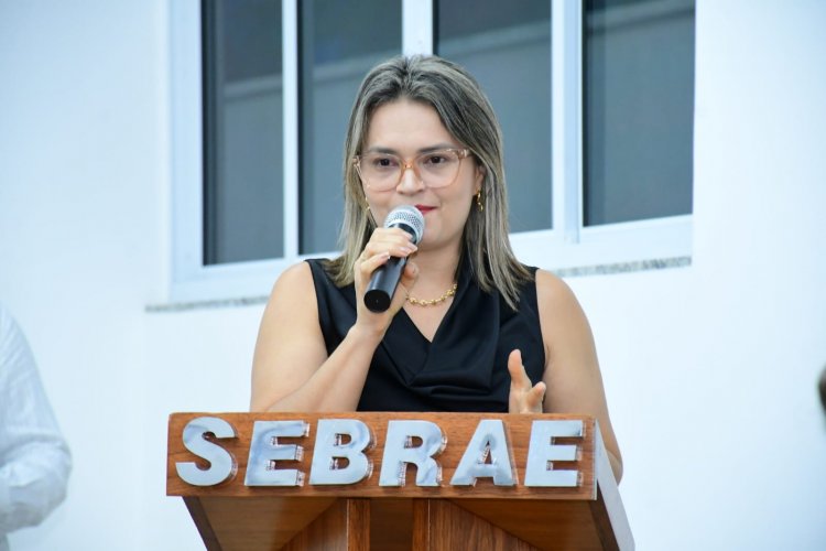 Prefeitura de Floriano e Sebrae lançam Ecossistema Local de Inovação do município