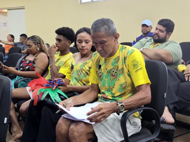 Escola de Samba ‘Os Caipiras’ é  campeã do Carnaval de Floriano pelo 3º ano consecutivo